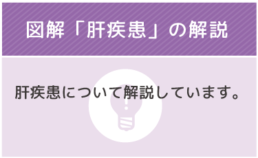 図解「肝疾患」の解説