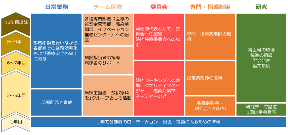 薬剤部キャリアステップイメージ